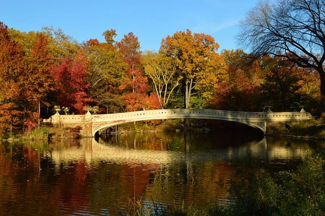 Automne-a-new-york