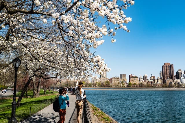 Printemps-a-new-york