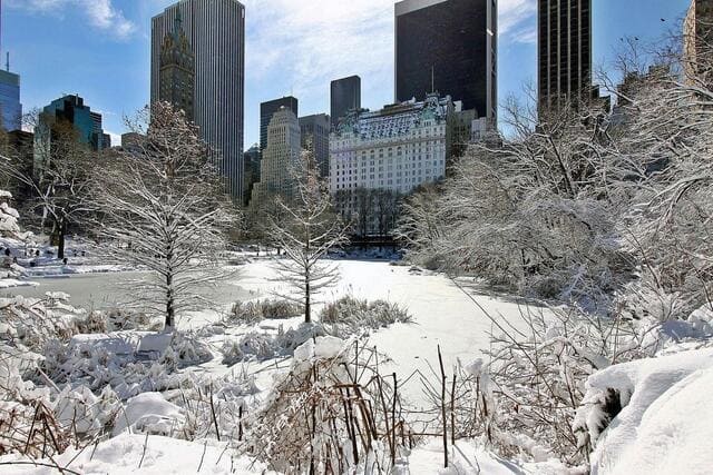 hiver-a-new-york