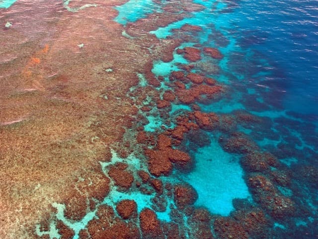 La-grande-barriere-de-corail