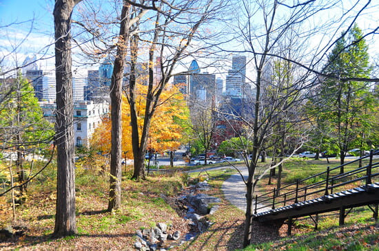 Le-Parc-Mont-Royal