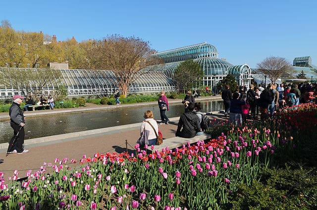 jardin-botanique-de-Brooklyn