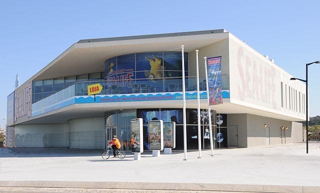 Laquarium-Sea-Life-de-Porto