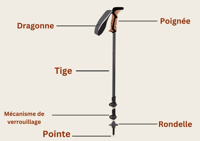 éléments importants d’un bâton de marche